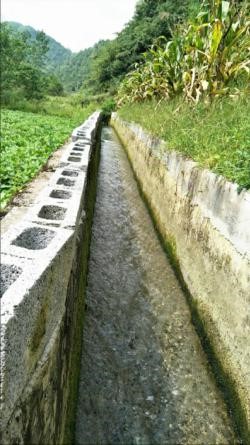水渠上的老汉.jpg